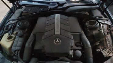 Mercedes-Benz: Mercedes-Benz 220: 2000 г., 4.3 л, Автомат, Бензин, Седан
