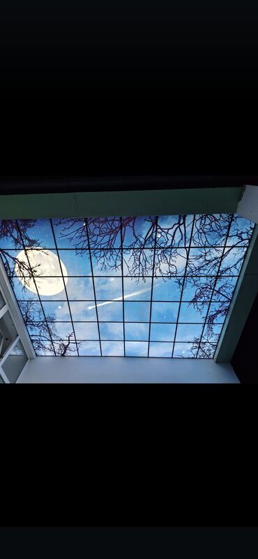 Asma tavanlar: Asma tavan, Orqsteklo, Suyadavamlı, Pulsuz çatdırılma, Pulsuz quraşdırma, Zəmanətli — 6