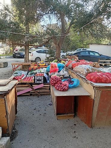 plastik gul qablari: Ağ plastik çiçək dibçəkləri – müxtəlif ölçülərdə - Material: yüngül — 2