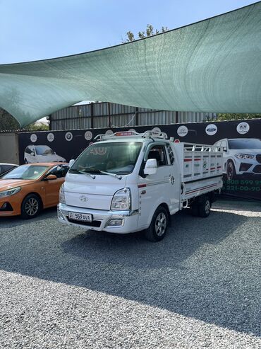 купить авто с кореи бу: Hyundai Porter: 2019 г., 2.5 л, Автоматтык, Дизель