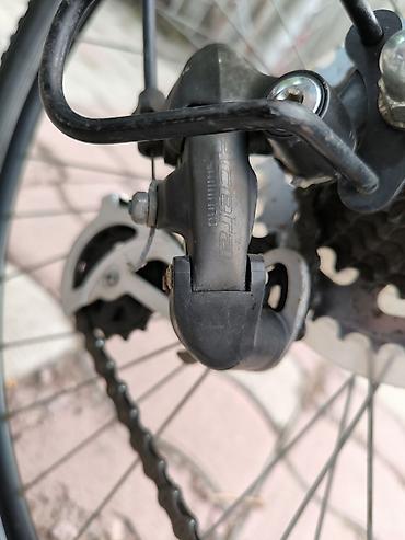 Городские велосипеды: Велосипед из Германии. Это модель "Prince Streetcoach" относится к — 17