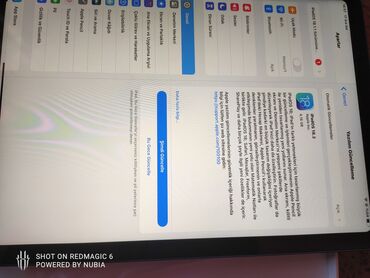 işlemiş soyuducu: Idyal veziyetdedi 3 ayın tableti pil 100% iPad 10 uncu nesil (ipad10)