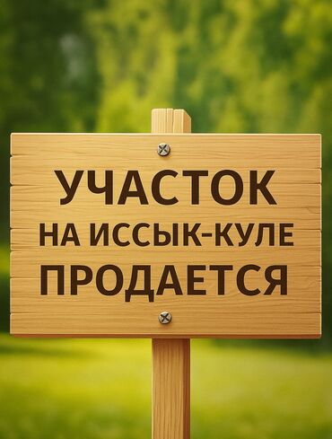 я ищу дом рабочий городок: 8 соток, Для бизнеса, Красная книга