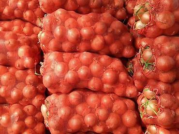 продаю лук овощи: Лук Оптом, В розницу, Самовывоз — 1