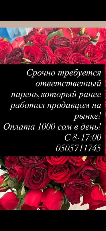 домработница без опыта работы: Талап кылынат Сатуучу консультант га Базар, Иш тартиби: Алты күндүк, Тамактануу, Толук жумуш күнү