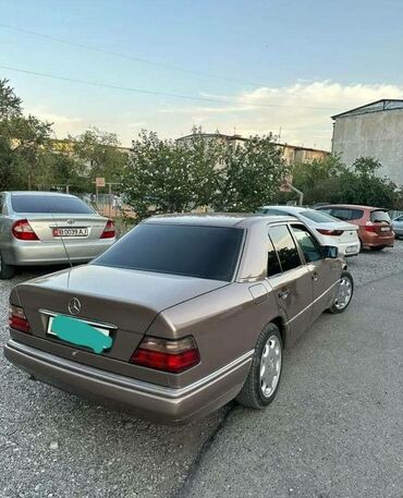 мерс 250: Mercedes-Benz 250: 1993 г., 2.5 л, Механика, Дизель, Седан