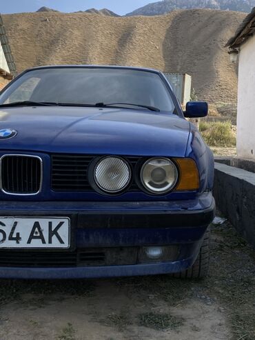 дом на колосах: BMW 5 series: 1994 г., 2.5 л, Механика, Бензин, Седан
