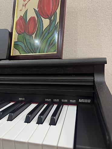 cat kabel: Kurzweil M100 elektro istifade olunmur cox az istifade olunub qiymetde — 3
