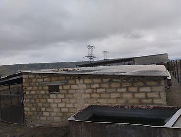 4 otaqlı kiraye evler: Ferma kompleksi – mal-qara saxlanışı üçün hazır infrastruktur - Geniş — 10
