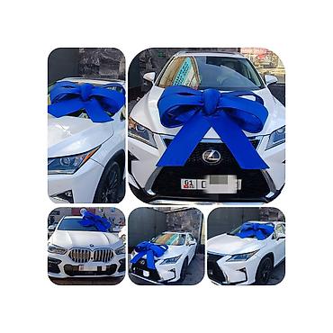 Организация мероприятий: Организация мероприятий | Аниматоры — 27