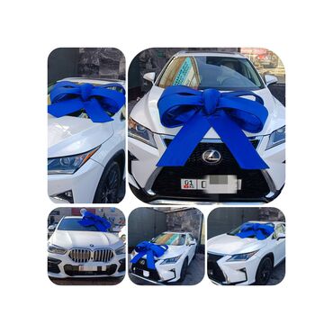 Организация мероприятий: Организация мероприятий | Оформление мероприятий, Аниматоры, Гелевые шары — 8