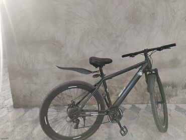 велосипед с корзинкой: İşlənmiş Şəhər velosipedi 29", sürətlərin sayı: 7, Pulsuz çatdırılma