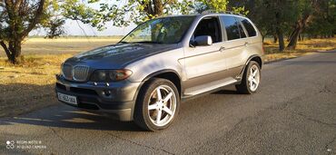 BMW: BMW X5: 2004 г., 4.4 л, Автомат, Бензин, Кроссовер — 2