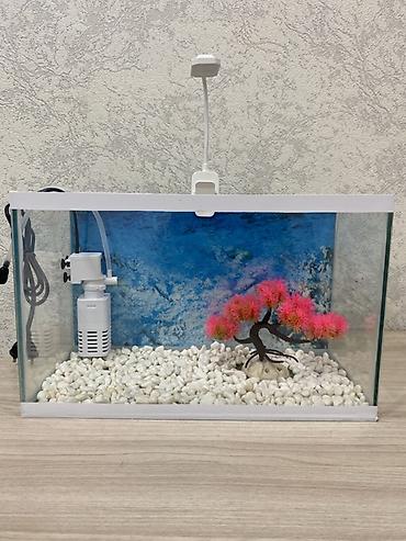 Akvariumlar: Hazır 12 Litr akvarium seti. İşlənməyib yenidir. Başqa yeni digər — 8