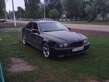 гурзовой вольво: BMW 5 series: 2002 г., 2.5 л, Автомат — 5