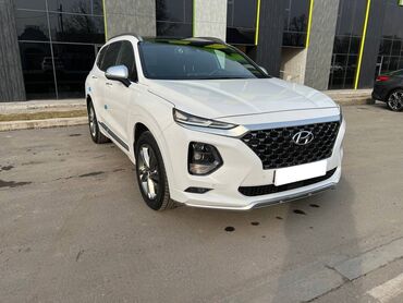 шторки: Hyundai Santa Fe: 2 л | 2019 г. | Кроссовер | Идеальное