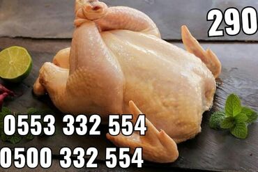 сколько стоит живая курица в бишкеке: Продаю | Куры | На забой