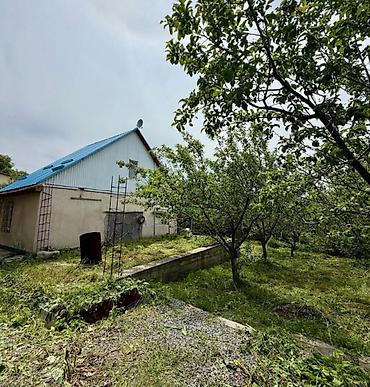 Продажа дач: 🏡🔥 ПРОДАЁТСЯ ДАЧА В ТАШ-МОЙНОКЕ! ДТ: «Мичуринец» 🌿 💥 Участок — 6 — 4