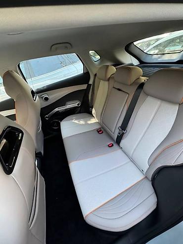 BYD: BYD : 2024 г., Электромобиль, Кроссовер — 3