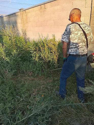 Клининговые услуги: Уборка территории, Стрижка газона — 2