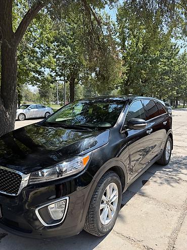 audi 4 2: Kia Sorento: 2019 г., 2.4 л, Автомат, Бензин, Кроссовер — 8