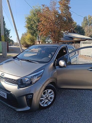бампер карнивал бампер: Kia Morning: 2019 г., Автомат, Бензин, Хэтчбэк — 1