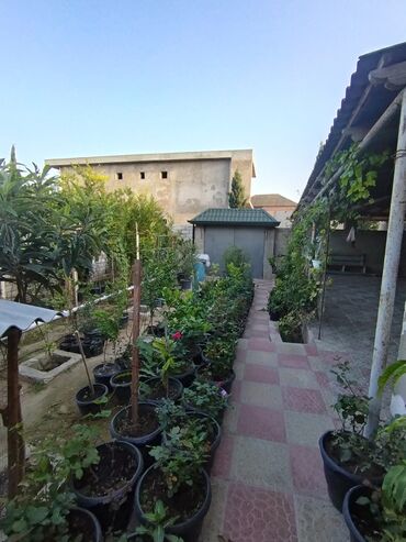 Həyət evləri və villaların satışı: 4 otaqlı, 100 kv. m, Orta təmir — 8