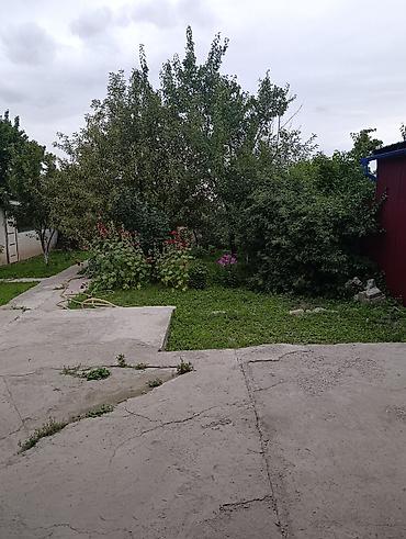 Продажа дачи: Навес/веранда у дома - Просторный навес на опорах, примыкает к стене — 12