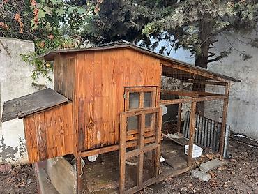 it satisi 2020: Göyerçin Damı Quş Damı Toyuqda Cücede Saxlamaq Olar - Material: möhkəm — 6