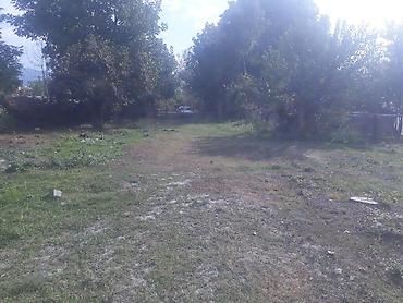 Torpaq sahələrinin satışı: 40 sot, Tikinti, Mülkiyyətçi, Kupça (Çıxarış) — 5