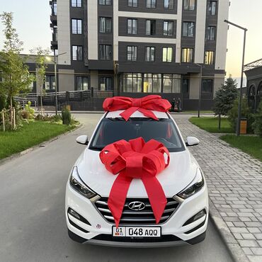 лук продам: Аренда Бантов Также на заказ изготовим большие бантики для вручения