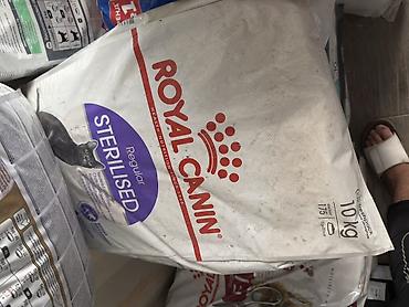 сухой поек: Цена указана за 1КГ!!! Royal Canin — сухие корма для кошек, фасовка — 1