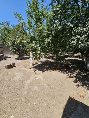 Продажа участков: 8 соток, Для строительства, Договор купли-продажи, Красная книга, Тех паспорт — 2