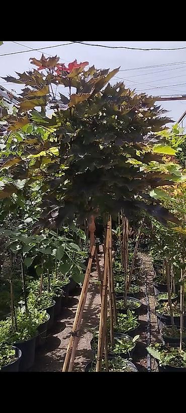 Дизайн, проектирование: Дизайн | Дома — 7