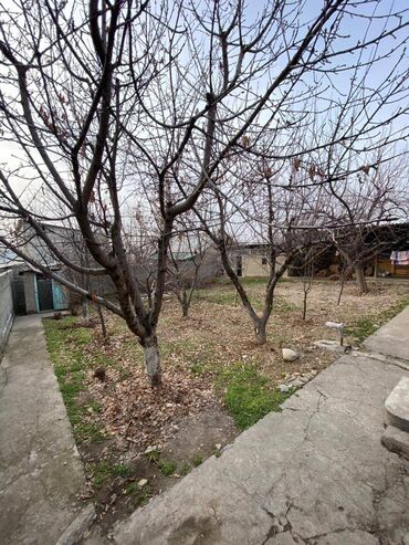 Продажа домов: Дом, 65 м², 4 комнаты, Агентство недвижимости, Косметический ремонт — 9