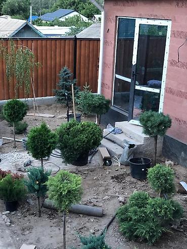 Газон: Автополив газона — легко и удобно! Установим систему автополива под — 10