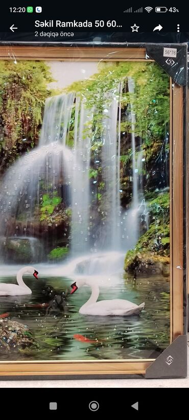 Şəkillər, tablolar: Ramkali sekiller.muxtelif olculerde.qıymetler 40 maňatdân baslayir 120 -da lalafo.az — 2 Şəkillər, tablolar: Ramkali sekiller.muxtelif olculerde.qıymetler 40 maňatdân baslayir 120 — 2