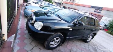 Hyundai: Hyundai Santa Fe: 2004 г., 2.4 л, Механика, Бензин, Кроссовер