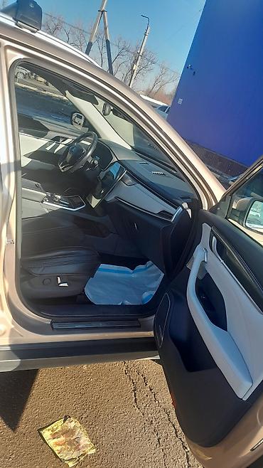 Weltmeister: Weltmeister EX5, 2020 г. — 4