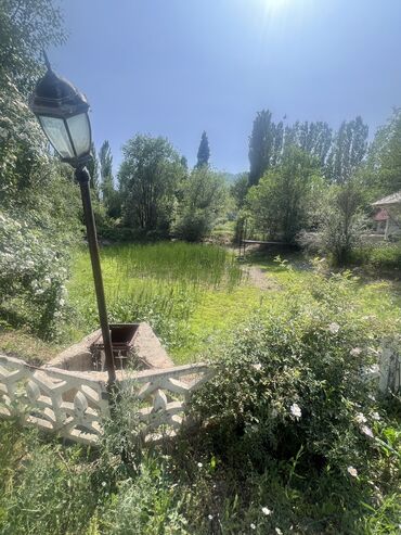 Другая коммерческая недвижимость: Продается зона отдыха находится в Панфиловском районе, урочище — 19