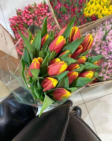 Букеты из живых цветов: Тюльпаны срезанные, свежие, прямые поставки. - Ассортимент — 4