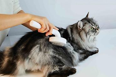 pişik darağı: ✂️ Petkit Pet Grooming Brush2 – Tük daraqı Petkit Pet Grooming Brush2 — 3