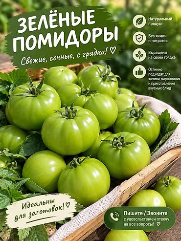 сыр сулугуни бишкек: Помидоры — 1