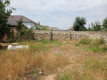 Torpaq sahələrinin satışı: 4 sot -da lalafo.az — 2 Torpaq sahələrinin satışı: 4 sot — 2