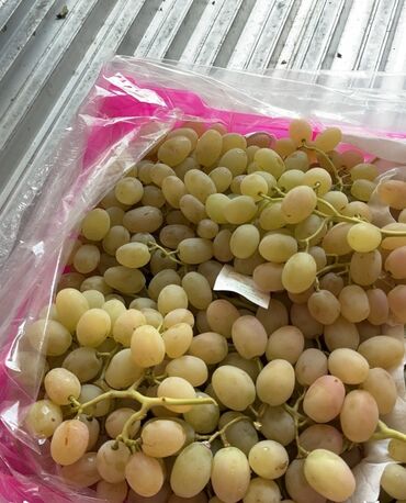 саженцы ремонтантной малины: Жүзүм Чекене