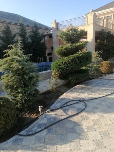 Bağbanlar: Bağban, 44 yaş, 5 ildən artıq təcrübə — 2