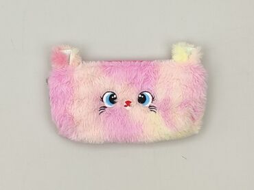 Pencil case, condition - Perfect