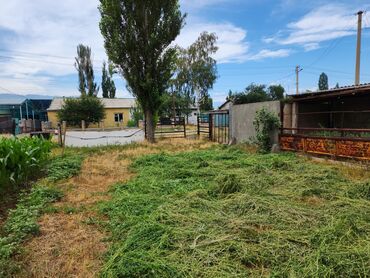 Продажа участков: 15 соток, Для строительства, Красная книга — 13