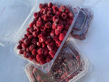 сорта клубники в кыргызстане: Замороженные малины 
Сорт полька