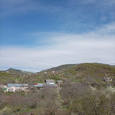 Torpaq sahələrinin satışı: Kənd təsərrüfatı — 3